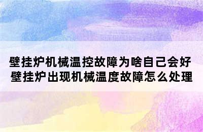 壁挂炉机械温控故障为啥自己会好 壁挂炉出现机械温度故障怎么处理